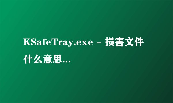 KSafeTray.exe - 损害文件 什么意思啊 我在上网时突然保险丝断了，重开机就显示这个，郁闷啊？怎么回事！