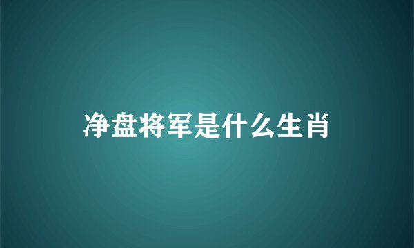 净盘将军是什么生肖
