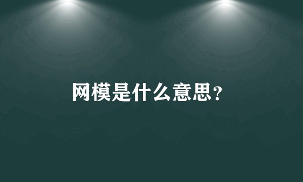 网模是什么意思？