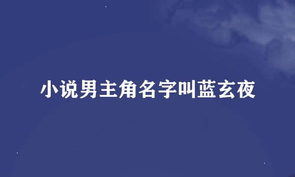 小说男主角名字叫蓝玄夜