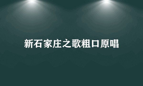 新石家庄之歌粗口原唱