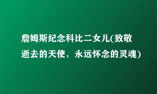 詹姆斯纪念科比二女儿(致敬逝去的天使，永远怀念的灵魂)