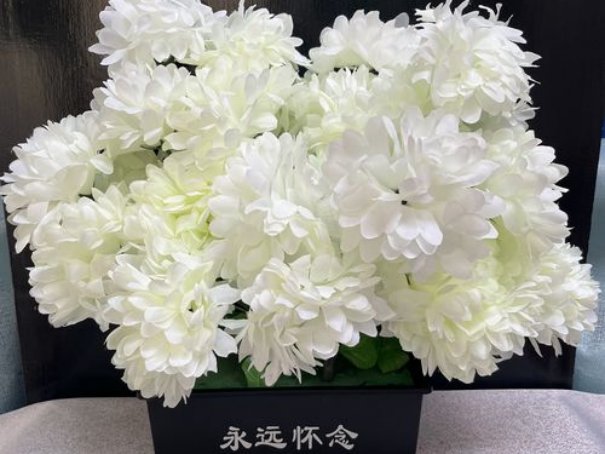 清明前一天为什么不能扫墓