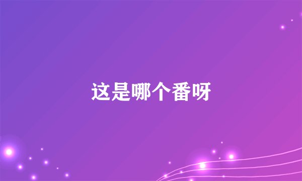 这是哪个番呀