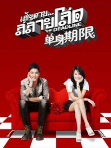 单身期限的介绍