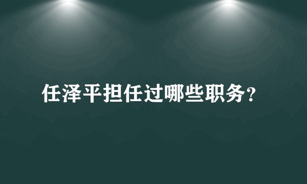 任泽平担任过哪些职务？
