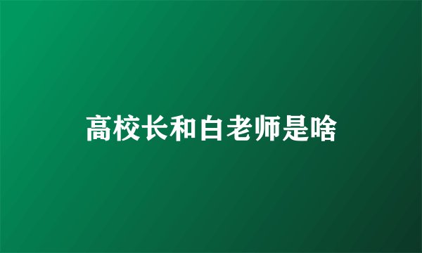 高校长和白老师是啥