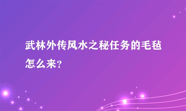 武林外传风水之秘任务的毛毡怎么来？