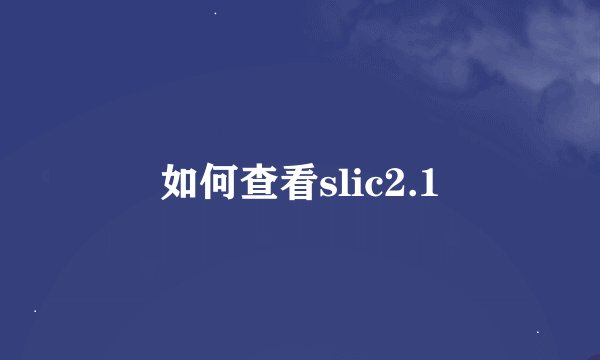 如何查看slic2.1