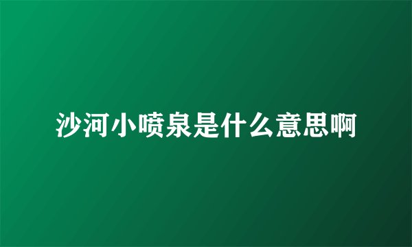 沙河小喷泉是什么意思啊