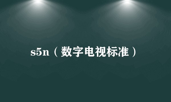 s5n（数字电视标准）