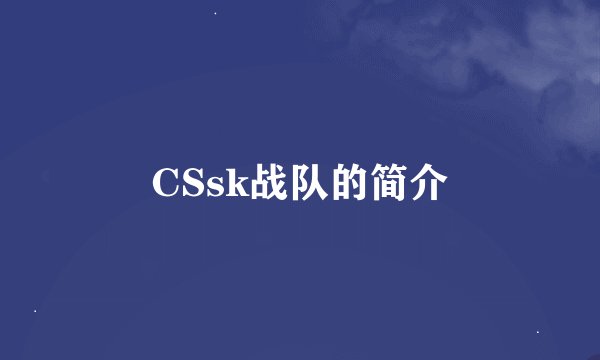 CSsk战队的简介