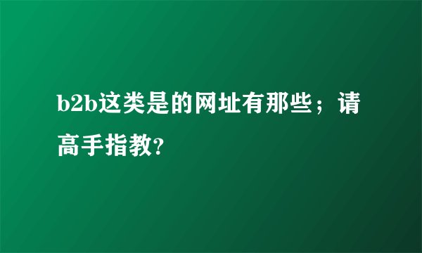 b2b这类是的网址有那些；请高手指教？