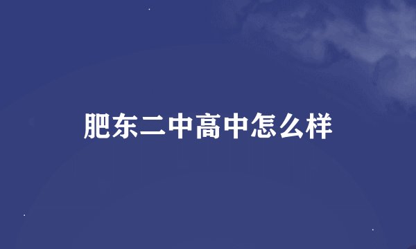 肥东二中高中怎么样