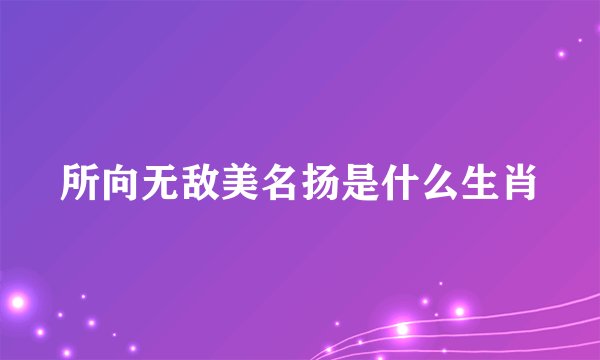 所向无敌美名扬是什么生肖