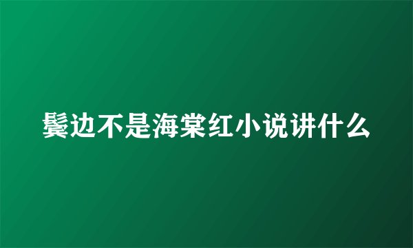 鬓边不是海棠红小说讲什么