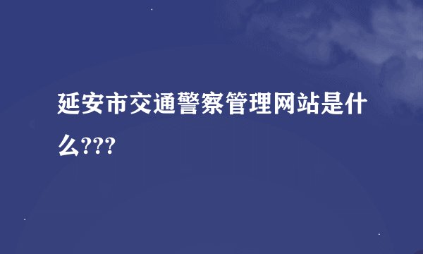 延安市交通警察管理网站是什么???