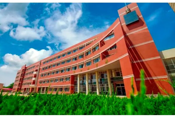 山东省石油大学分数线