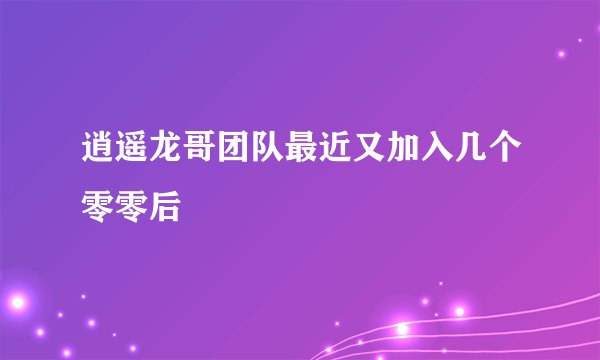 逍遥龙哥团队最近又加入几个零零后