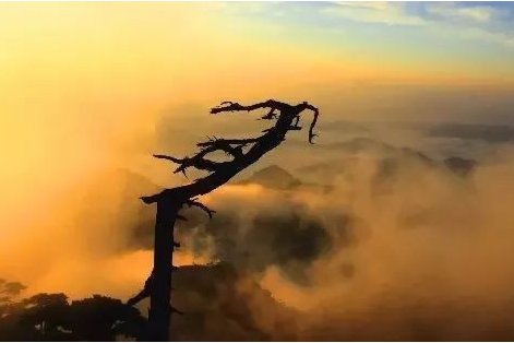 终为灰土的前一句