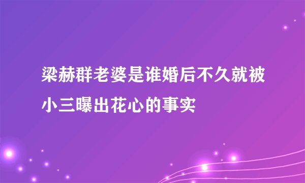 梁赫群老婆是谁婚后不久就被小三曝出花心的事实