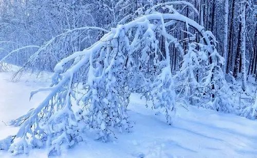 广州还在穿短袖，黑龙江漠河开始下雪了，当地下雪为何这么早？