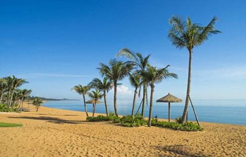 沙滩又什么又什么？