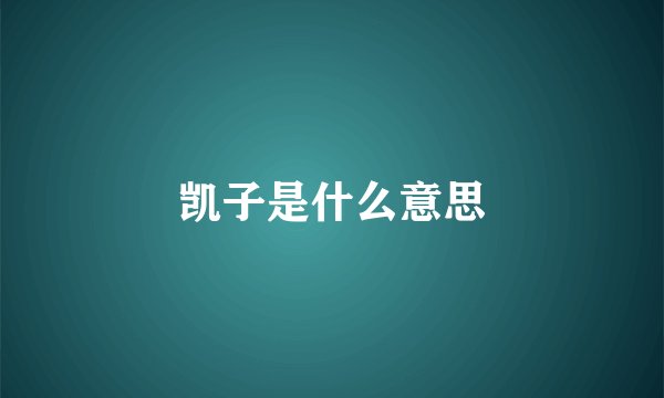 凯子是什么意思