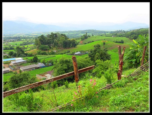 爱在拜城的原声音乐