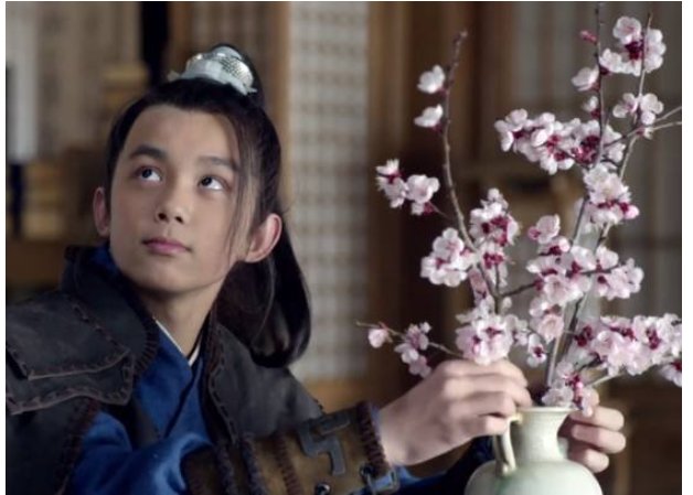 《琅琊榜》飞流叛变是怎么回事?