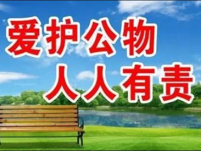 爱护公物的内容是什么？