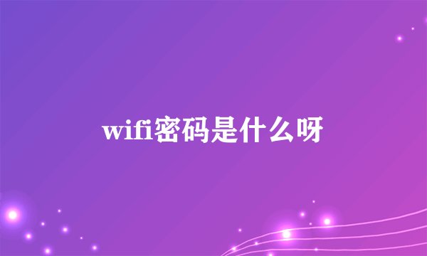 wifi密码是什么呀