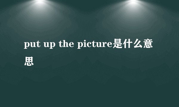 put up the picture是什么意思