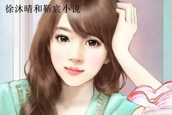 徐沐晴靳宸小说叫什么名字