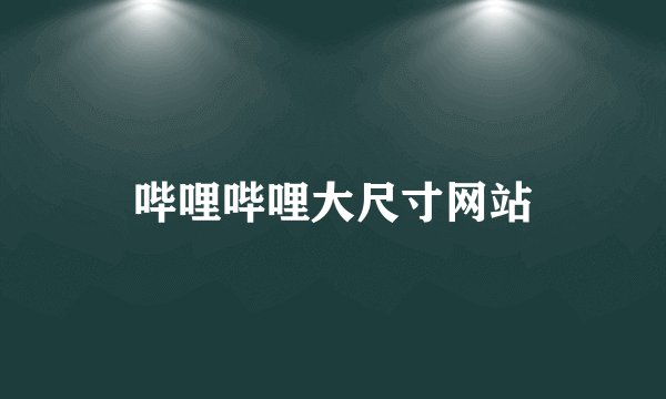 哔哩哔哩大尺寸网站
