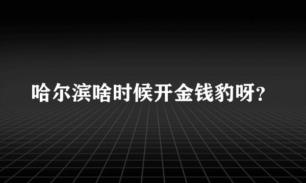哈尔滨啥时候开金钱豹呀？