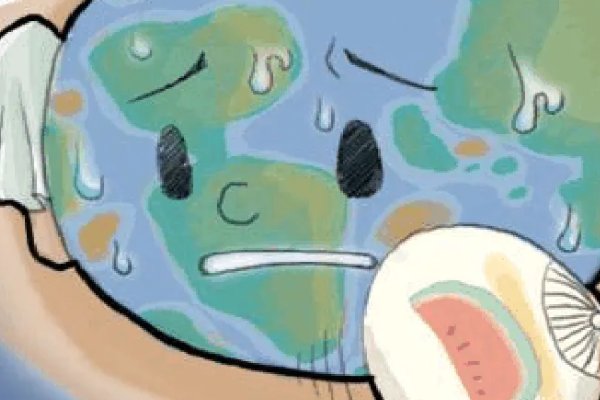 全球变暖对全球生态环境产生什么影响?