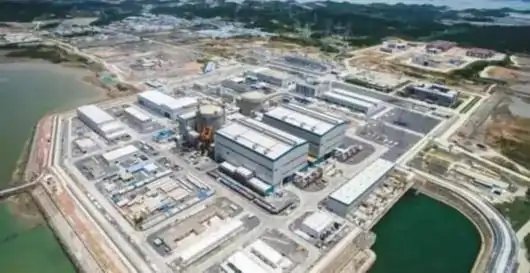 中国西部地区建成的第一座核电站，造此核电站的目的是什么？