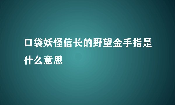 口袋妖怪信长的野望金手指是什么意思