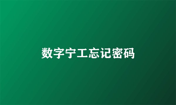 数字宁工忘记密码