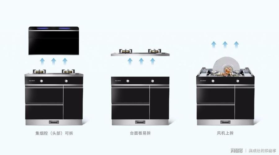 集成是什么意思?