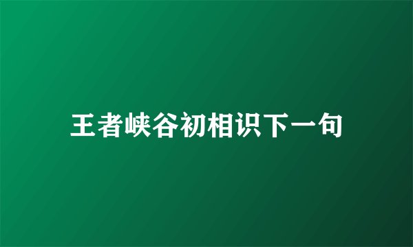 王者峡谷初相识下一句