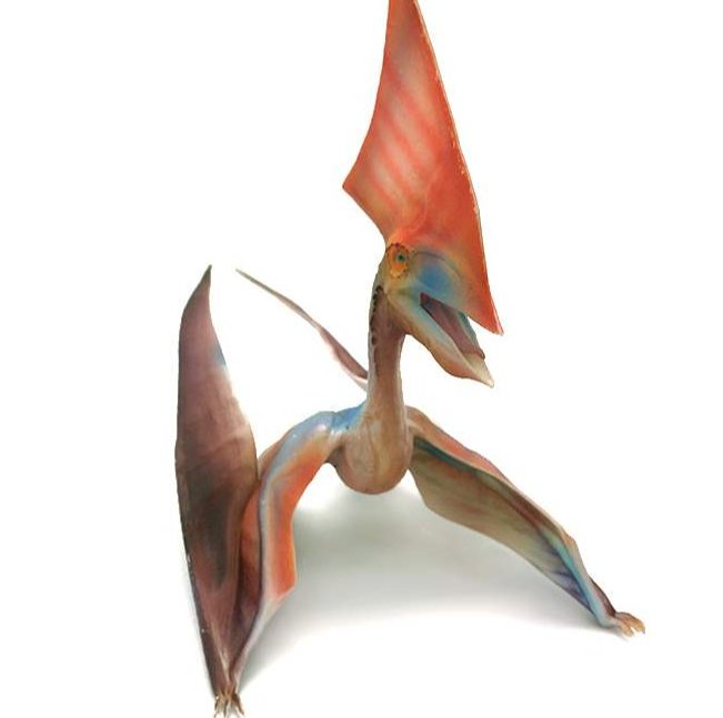 钻冰求火一生肖