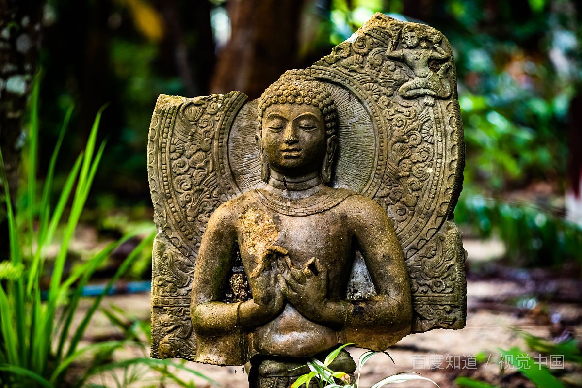 佛教慧缘什么意思