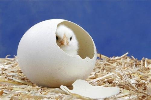 《写真地理》负责人辞职，他为何辞职？