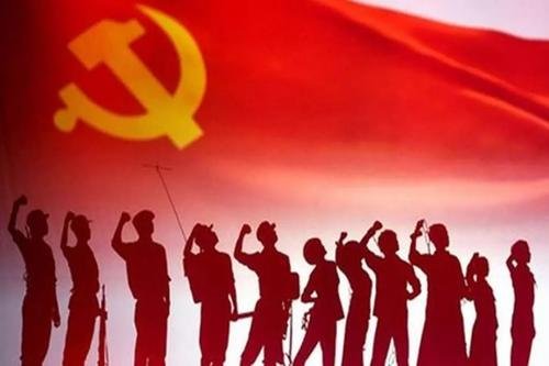 党的组织系统是由什么组成