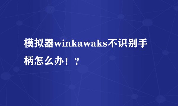 模拟器winkawaks不识别手柄怎么办！？