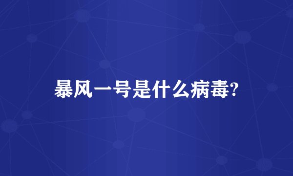 暴风一号是什么病毒?