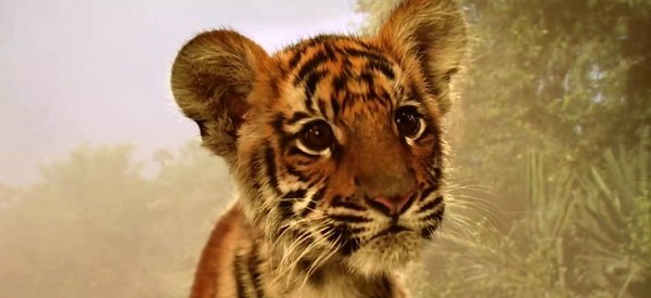 各位给几部 关于老虎 狮子的电影～不要动画片的．最好国语