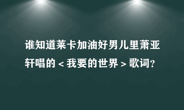 谁知道莱卡加油好男儿里萧亚轩唱的＜我要的世界＞歌词？